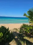 Rose Nest at the beach Puerto Rico - Beach