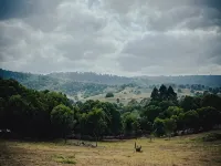 Ironbark Luxury Farm-Stay & Highland Cows. Hotels in Caboolture