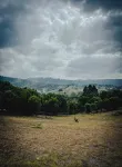 Ironbark Luxury Farm-Stay & Highland Cows.