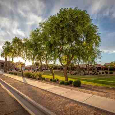 Goodyear, AZ full home with heated pool and spa and desert oasis back yard!! Others