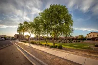 Goodyear, AZ full home with heated pool and spa and desert oasis back yard!! - Phòng tập thể hình