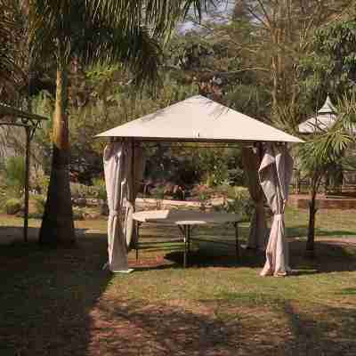 Coghlan Villa Guest House Hotel Exterior