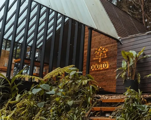 Oculto Refugio de Bosque Hôtels à : Envigado
