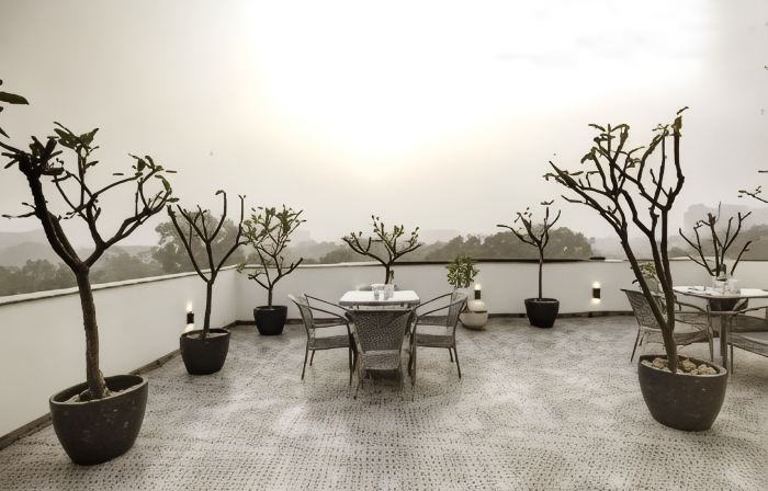 SALTSTAYZ SELECT - NEHRU PLACE & NEW FRIENDS COLONY