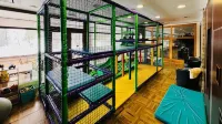 Crocus Apartments 310, 507