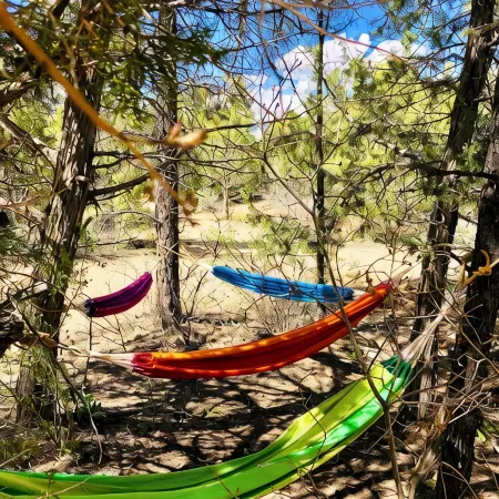 Zion & Bryce Family Cabin With Wifi, AC, Hiking Trails In Secluded Pine Forrest