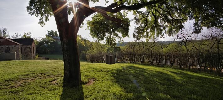 Live Oak B&B Hotels in Somervell County