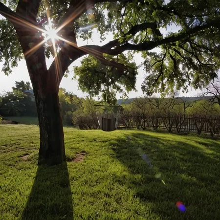 Live Oak B&B