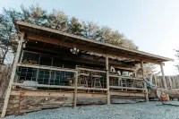 Private tiny cabin- 10 minutes from Dale Hollow Lake! - Wifi