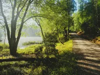 Peaceful Lakeside Haven w/private dock; boating, hiking swimming just steps away - 4-Star