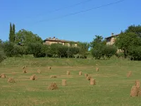 Independent house in the hills of the Sienese countryside - 3-Star