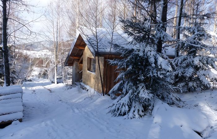 Chalet close to the forest with private spa jacuzzi