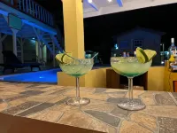 Tropical Paradise - bar