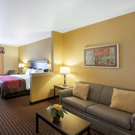 Comfort Inn & Suites Regional Medical Center