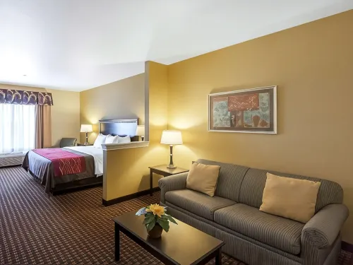 Comfort Inn & Suites Regional Medical Center - Pools