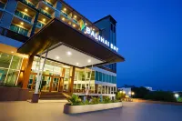 Balihai Bay Pattaya Hotels near رصيف بالي هاي