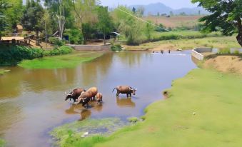 Huan Chiang Dao Resort