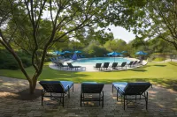 Williamsburg Lodge, Autograph Collection - Pools