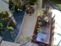 Riad Lorsya