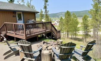 Mountain View Lodge & Cabins