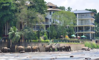 Hotel Elephant Bay