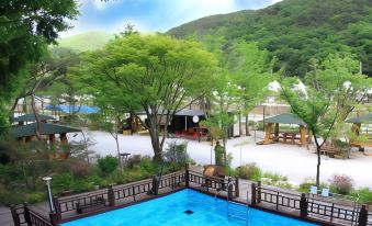 Wanju Wild Flower Pension