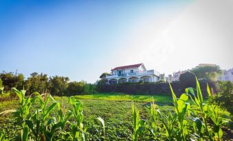 Seogwipo Hwamok Pension