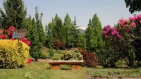 Sehongarten Omi
