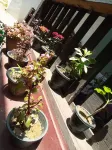 Ask Homestay - 2-Star