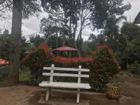 Eeescart Family Resort