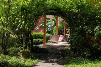 Jungle Lodge at Wild Sun Rescue Center Hotels in Cobano District