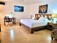 Hotel Zima Hotels in Rivas