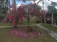 Bororen Motel Hotel a Miriam Vale