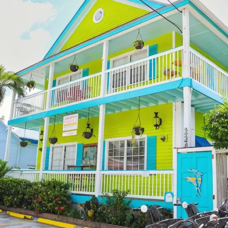 Caribbean House