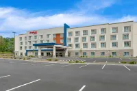 Hampton Inn by Hilton Cooperstown Hotels near Susquehanna Flight Park
