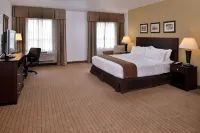 Holiday Inn Madison at the American Center Hotels in Madison
