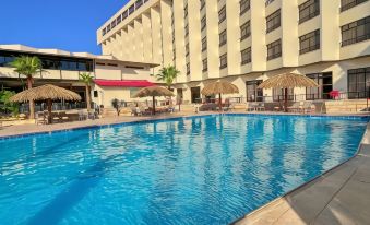 Aqaba Gulf Hotel