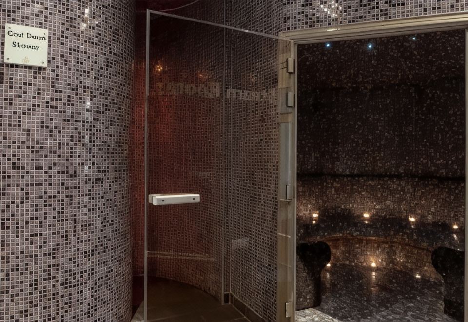 Radisson Blu Hotel and Spa Limerick Over view