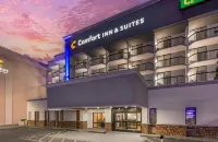 Comfort Inn & Quality Suites