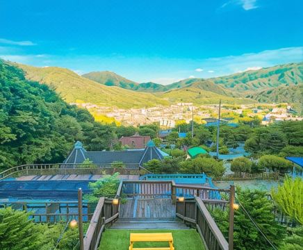 반려견 놀이터