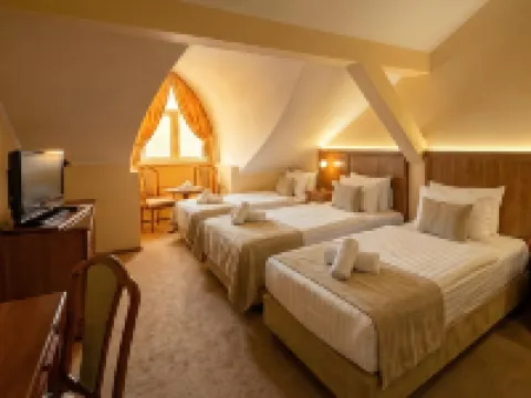 Hotel Maxim โรงแรมใน