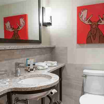 Moose Hotel and Suites Rooms