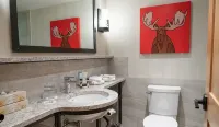 Moose Hotel and Suites