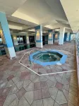 Daytona Beach Oceanview Beauty - homestay