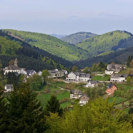 Haus Onel 1 Отели в г. Шмалленберг