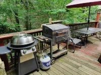 'BEARADISE CHALET' UNIQUE Secluded Retreat Estate (WHO'LD GUESS IT'S IN TOWN