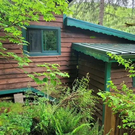 Welch Cabin <A License to Chill> ~we LOVE dogs~