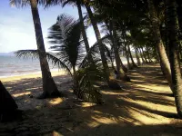 Novotel Cairns Oasis Resort - Beach