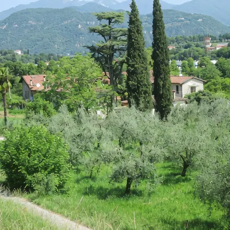 Apartment for couples with garden - 10 min from the lake!