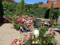 Charming, spacious town house, Friedrichstadt n. North Sea / 2-4 pers - Wifi